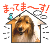 854683423