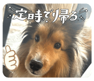 854683426