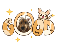 854683431
