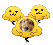 854683456