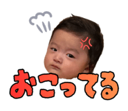 854683784