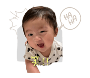 854683799