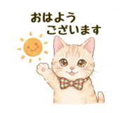 854684537