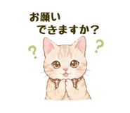 854684546