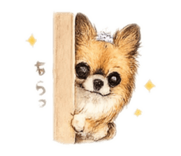 854687517