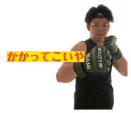 854687818