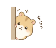 854688315
