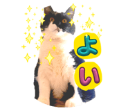854688498