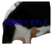 854688950