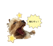 854691990