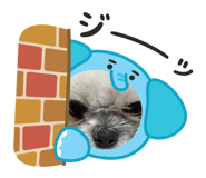 854691992
