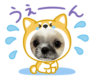 854691996