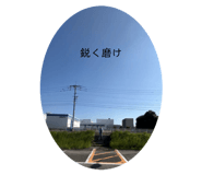 854692519