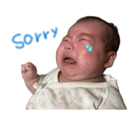 854694024