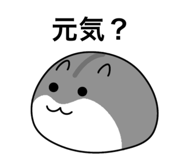 854694065