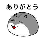 854694066