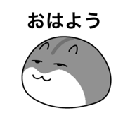 854694068