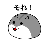 854694073