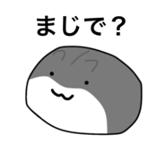 854694074