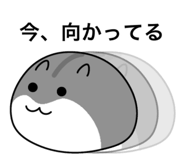 854694076