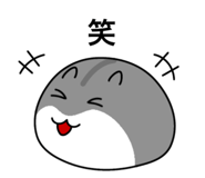 854694078