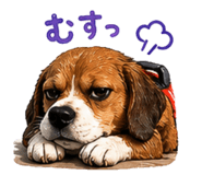 854694468