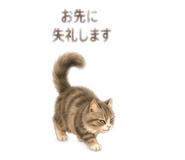 854694485