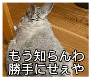 854698226