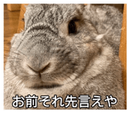 854698229