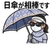 854702117