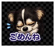 854710337