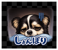 854710338