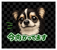 854710341