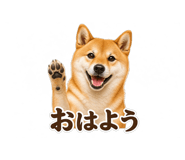 854710681