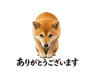 854710683