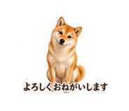 854710686