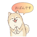 854710793