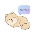 854710795
