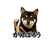 854710827