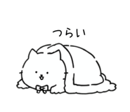 854711705