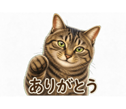 854713466