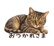 854713468