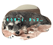 854717010