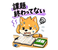 854717211