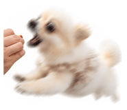 854718170