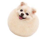 854718179