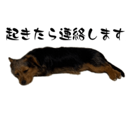 854720307