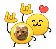 854723666