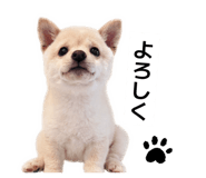 854723687