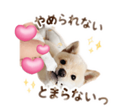 854723690
